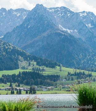Walchsee Schwimmen Freizeit Outdoor Bergwelt